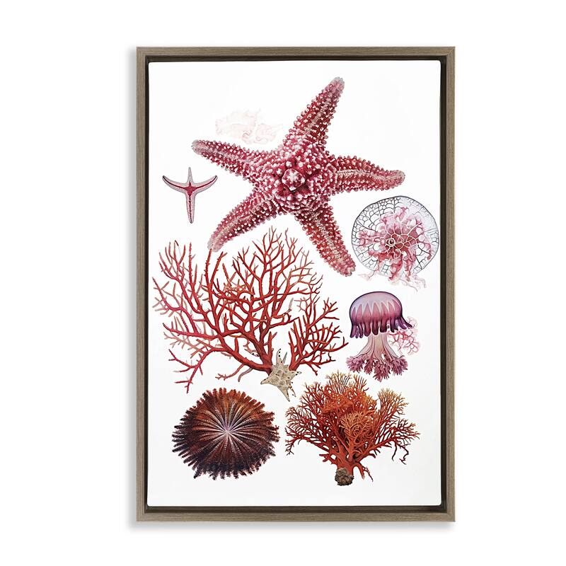 Stupell Rosy Undersea Creatures Framed Floater Canvas Wall Art Design By Ramona Murdock - 21 x 31 - Brown
