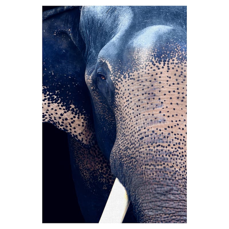Titan by Belle Maison Canvas Art Print