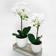 preview thumbnail 11 of 20, Artificial Phalaenopsis Orchid Flower Arrangement in White Pot 13in