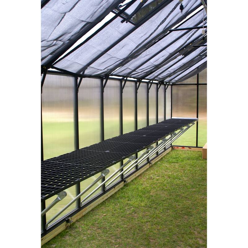MONT 8 ft x 20 ft Mojave Edition Black Finish Greenhouse with Heater