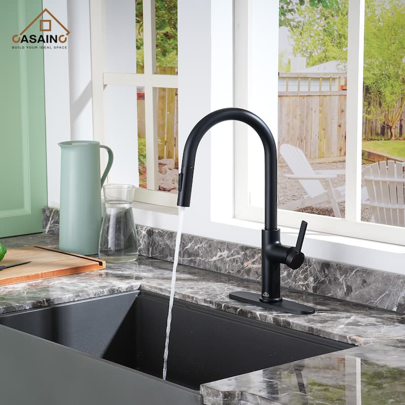 Single Handle Pull-Down Sprayer Kitchen Faucet - Black