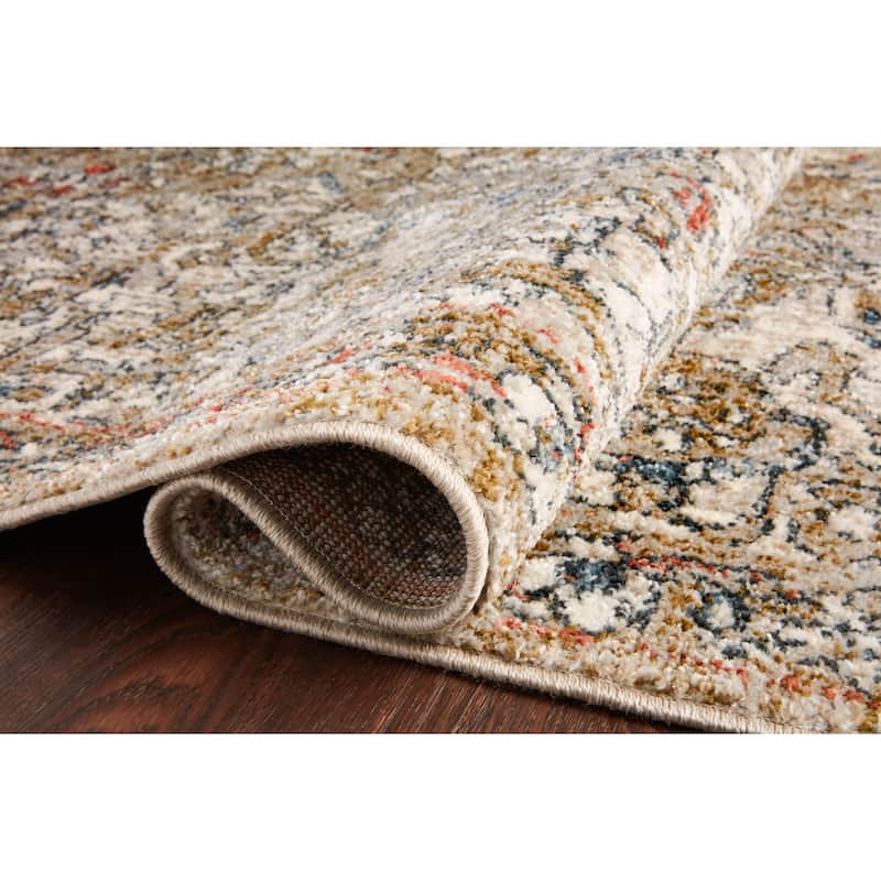 Alexander Home Valeria Distressed Medallion Area Rug