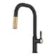 Option Spot Free Brushed Brass/Matte Black
