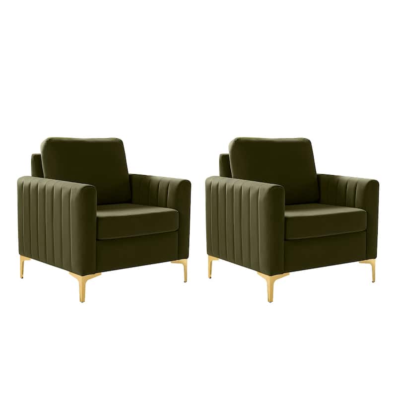 Ganymedes Modern Velvet Accent Arm Chair with Golden Legs and Removable Cushion by HULALA HOME