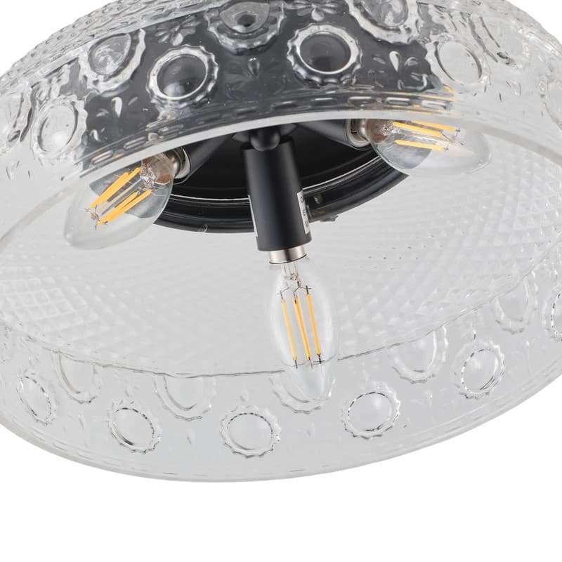 Modern Black Flush Mount Ceiling Light with Clear Glass Shade Iron Housing for Living Room Bedroom Hallway