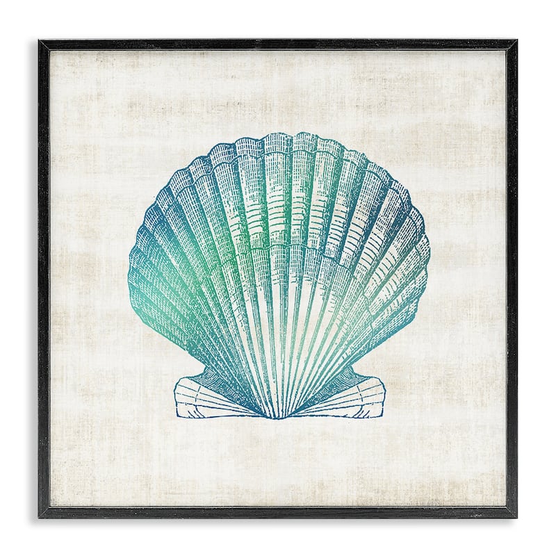 Stupell Gradient Clam Seashell Framed Giclee Art Design By Susan Arnot - 12 x 12 - Black
