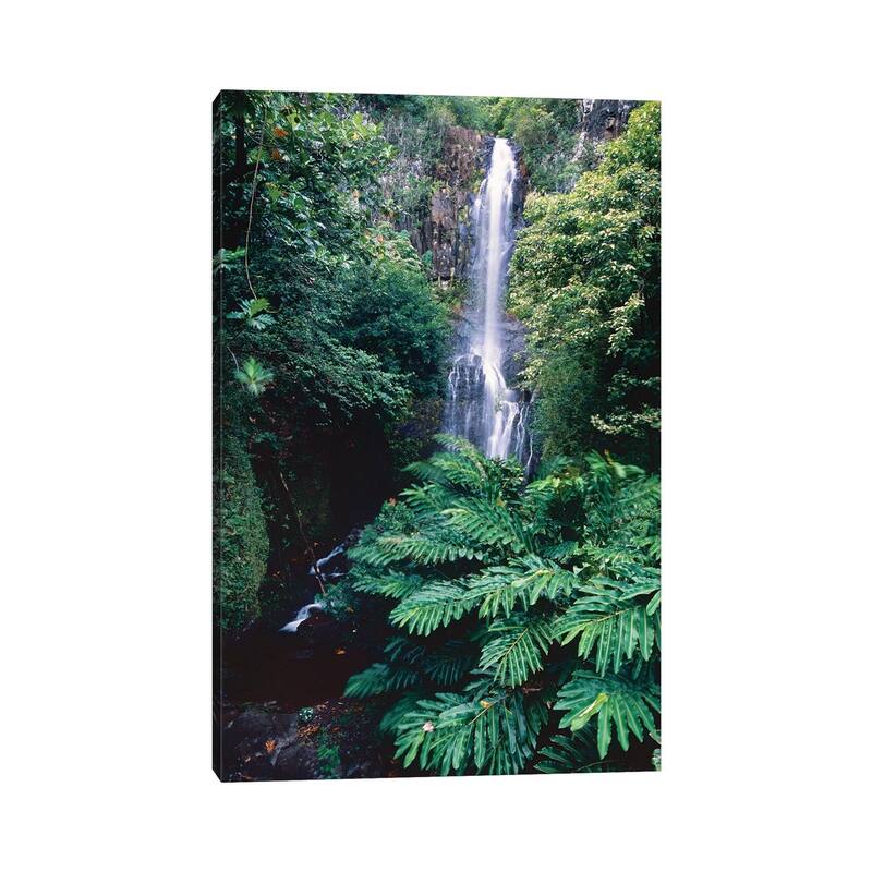 iCanvas "Wailua Falls on the Road To Hana, Maui, Hawaii" by George Oze Canvas Print