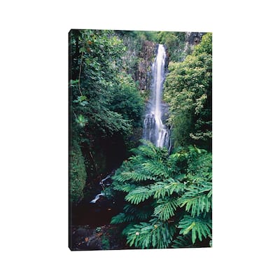 iCanvas "Wailua Falls on the Road To Hana, Maui, Hawaii" by George Oze Canvas Print