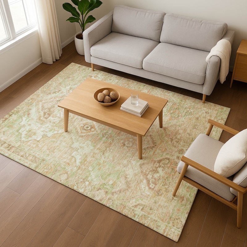 Premium Washable Super Soft Boho Global Mayfield Rug