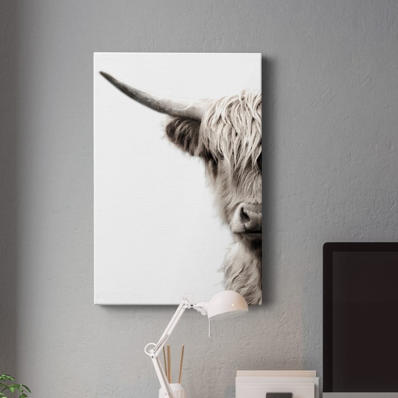 Highland Cattle Premium Gallery Wrapped Canvas - Ready to Hang
