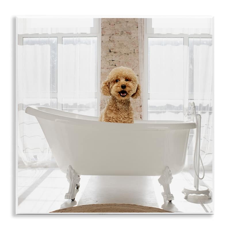 Stupell Happy Puppy in Bathtub Wall Plaque Art Design By CAD Designs - 12 x 12
