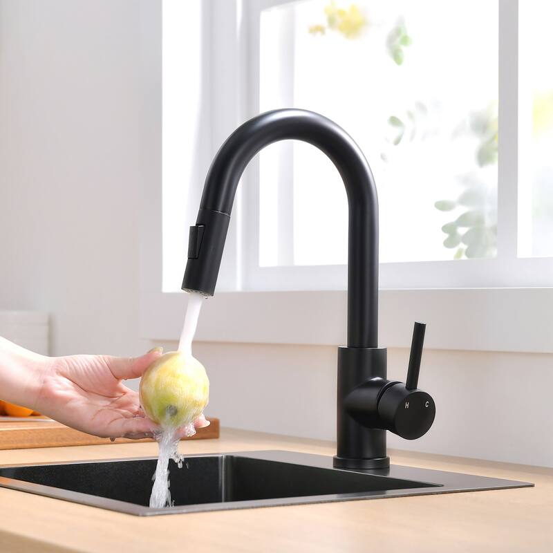 Single Handle Pull-Out Double-Function Kitchen Faucet - Matte Black