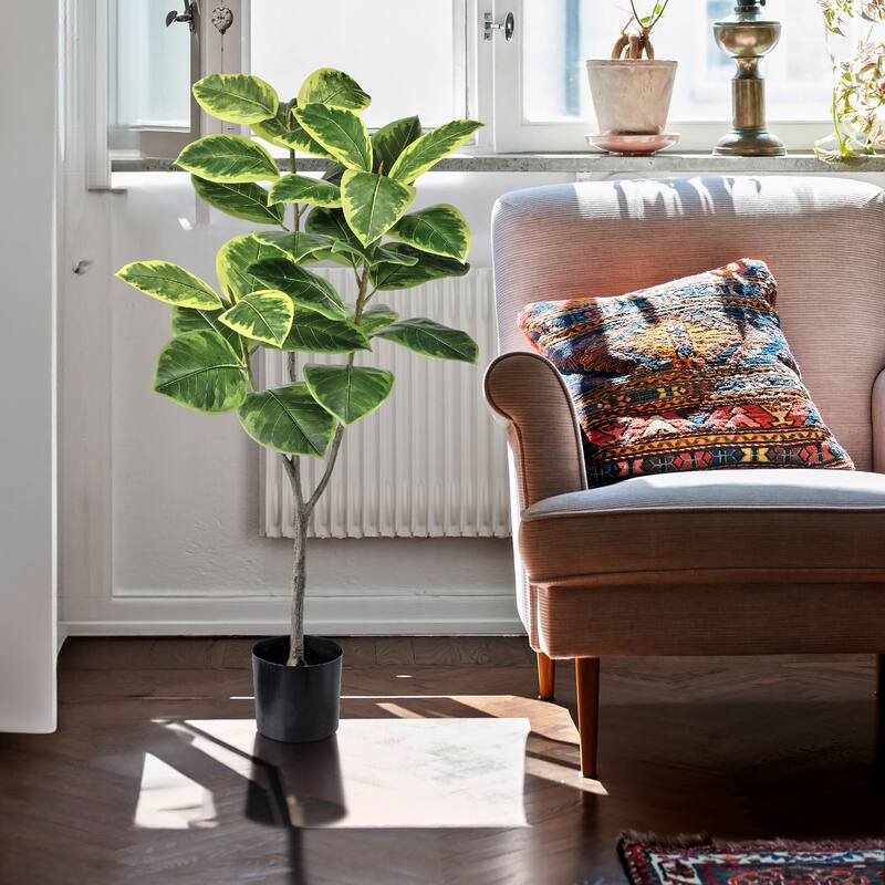 Potted Variegated Rubber Tree 51"