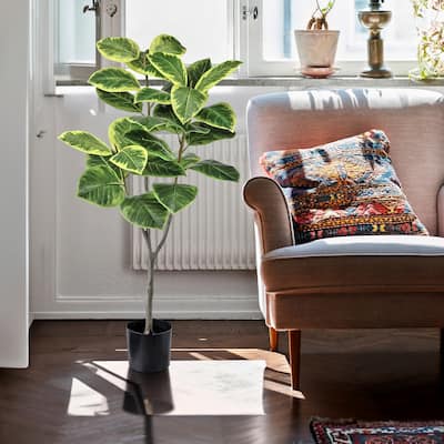 Potted Variegated Rubber Tree 51"