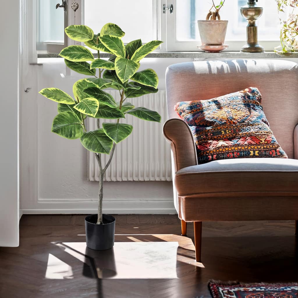 Potted Variegated Rubber Tree 51"