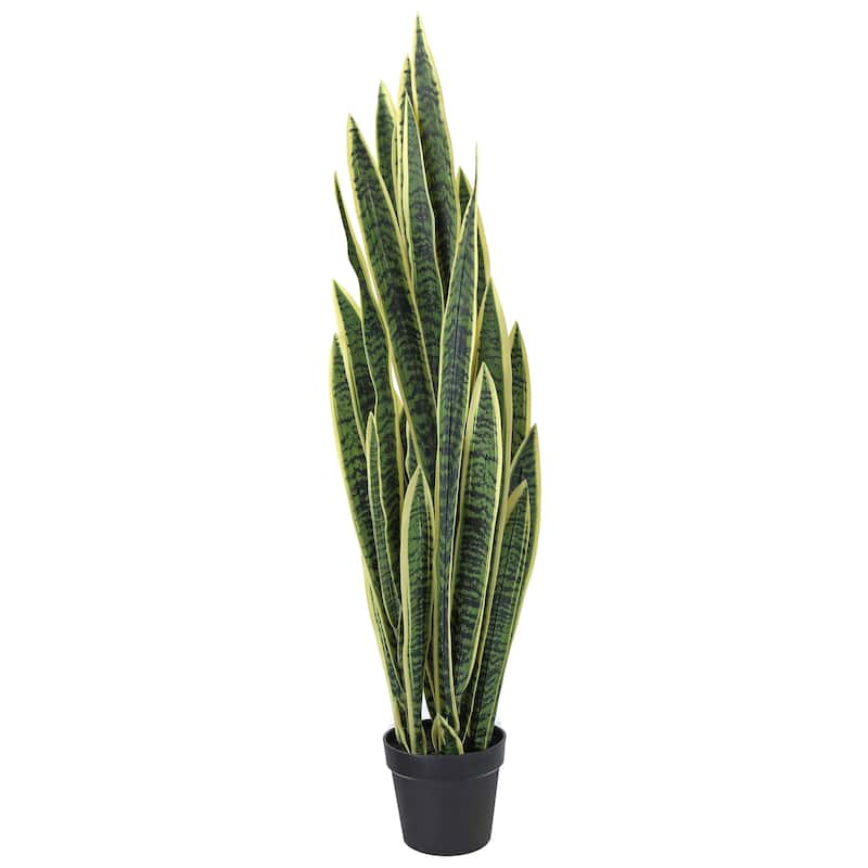 Potted Sansevieria Trifasciatia 52.5"
