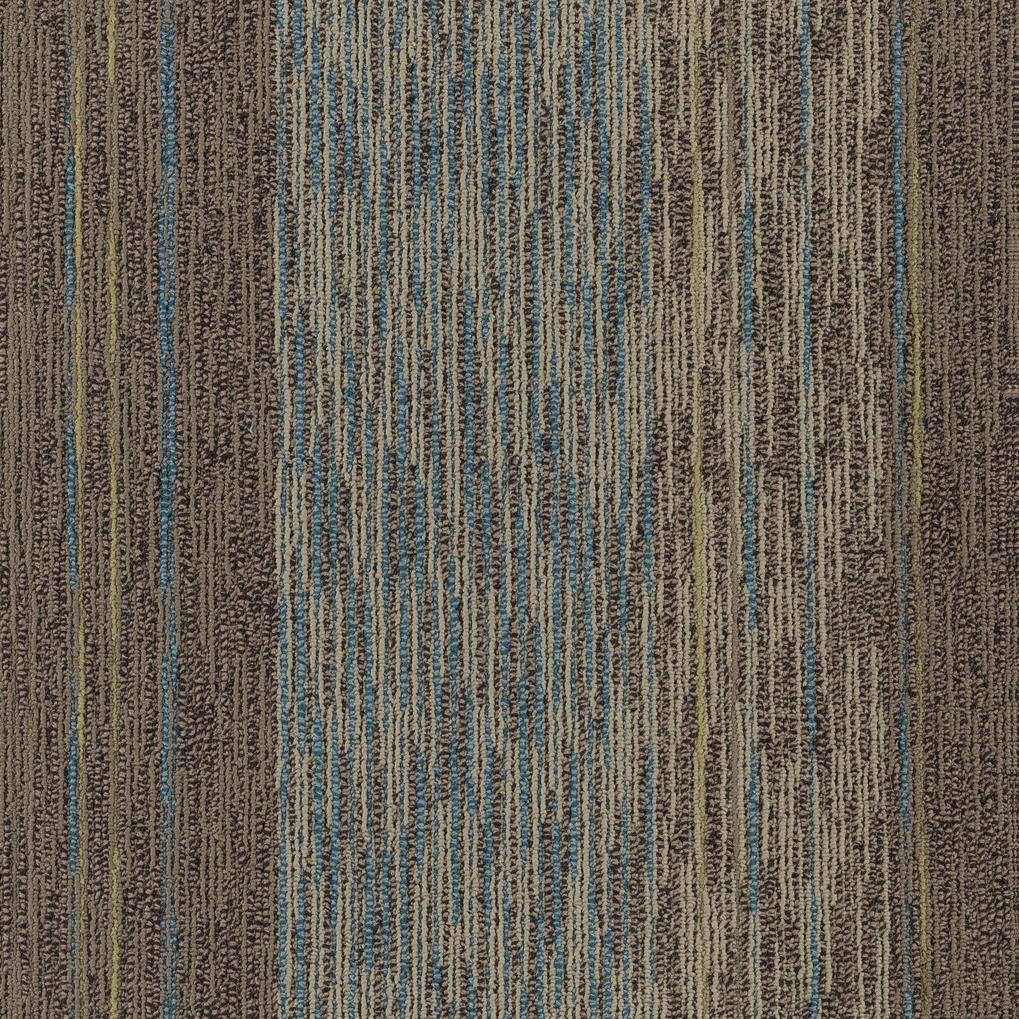 Shaw Philadelphia Commercial Unscripted 24" x 24" Glue Down Carpet