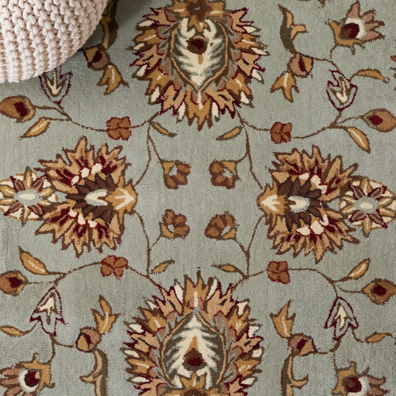 SAFAVIEH Handmade Total Performance Felisha Oriental Rug