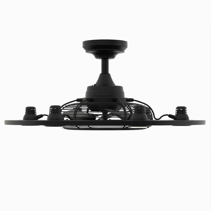 Fanimation Studio Collection Dex 12 inch Black Fandelier Ceiling Fan With LED Lights and Remote
