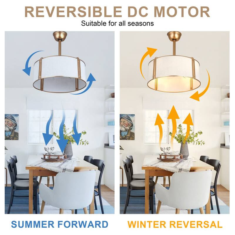 Bella Depot 19" Modern Caged Ceiling Fan with Light Kit and Remote Control 6-Speed Reversible DC Motor - 19”