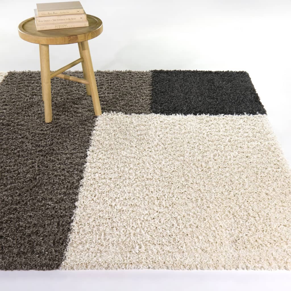 Roger Geometric Shag Area Rug