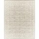 preview thumbnail 33 of 34, Livabliss Louvre Transitional Area Rug