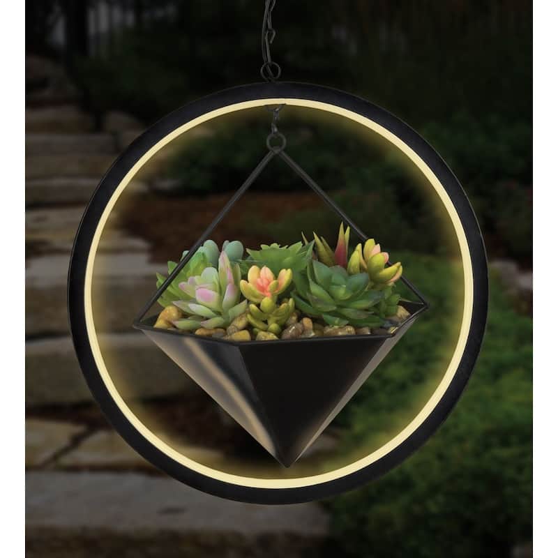 Lumen Succulent Solar Lantern - Hexagon