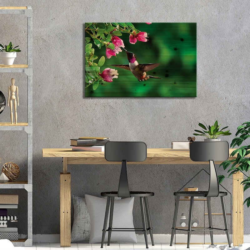 Magenta-Throated Woodstar Hummingbird Male Feeding On Epiphytic Heath, Costa Rica Print On Wood by Michael & Patricia Fogden