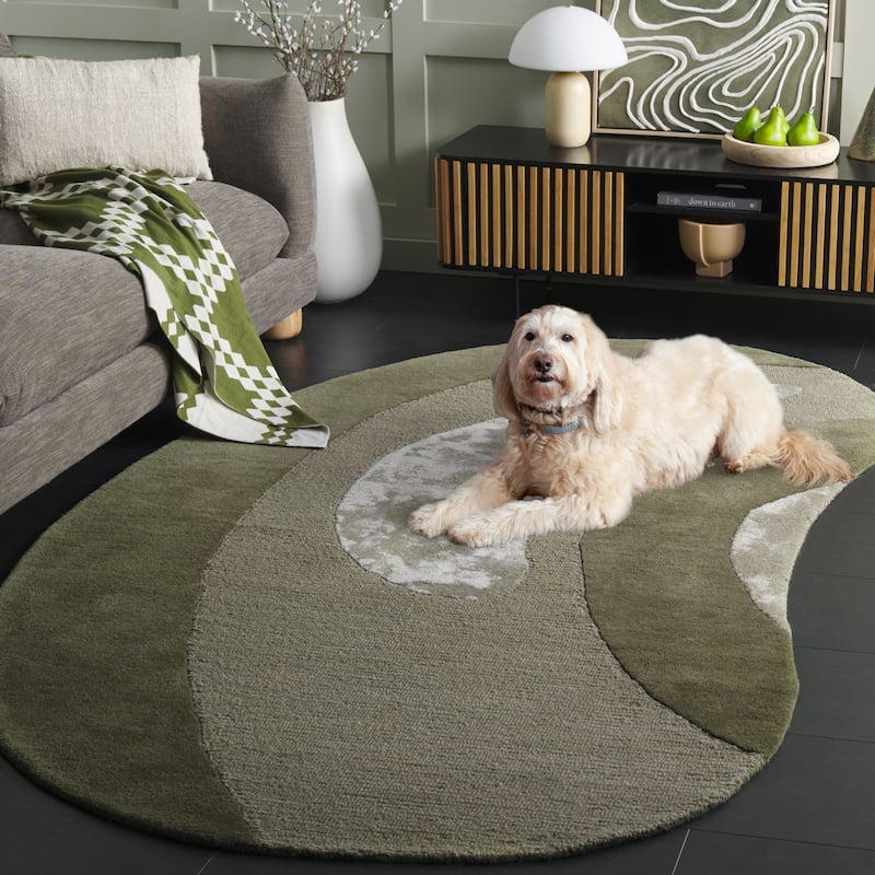SAFAVIEH Handmade Novelty Giana Modern Wool Rug