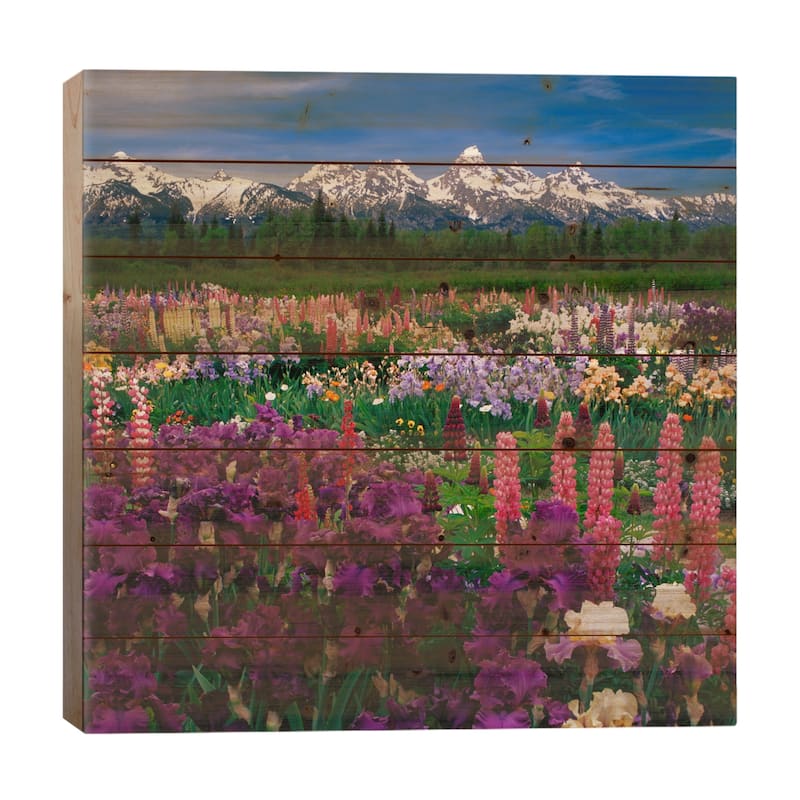 Iris & Lupine Field, Grand Teton National Park, Teton County, Wyoming, USA Print On Wood by Adam Jones - Multi-Color - 26x26x1.5