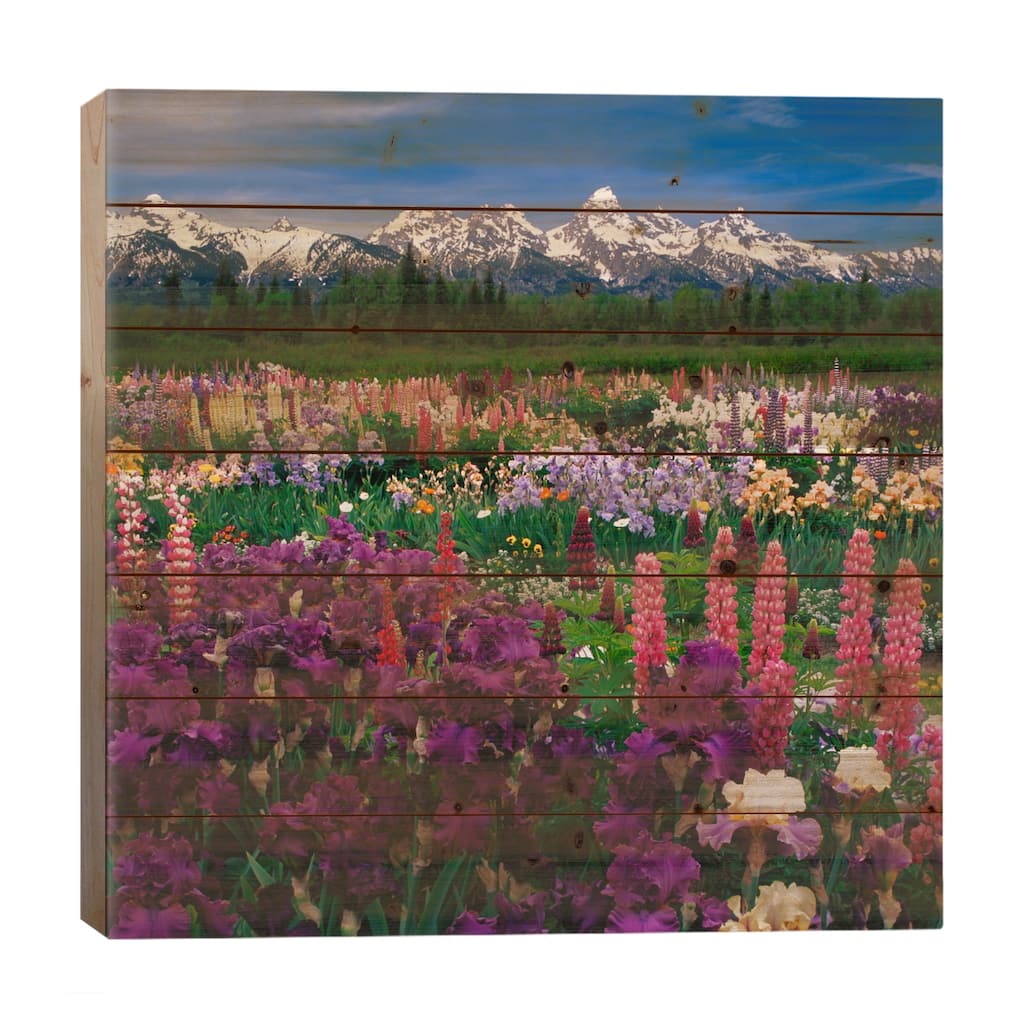 Iris & Lupine Field, Grand Teton National Park, Teton County, Wyoming, USA Print On Wood by Adam Jones - Multi-Color
