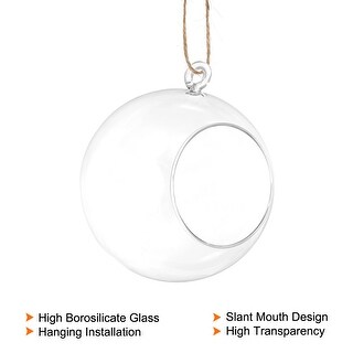 Round Globe Terrarium Air Plant Planter, 2 Pack 5.4 Inch Glass Hanging Clear - Bed Bath & Beyond ...