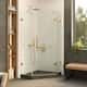 Option Satin Brass