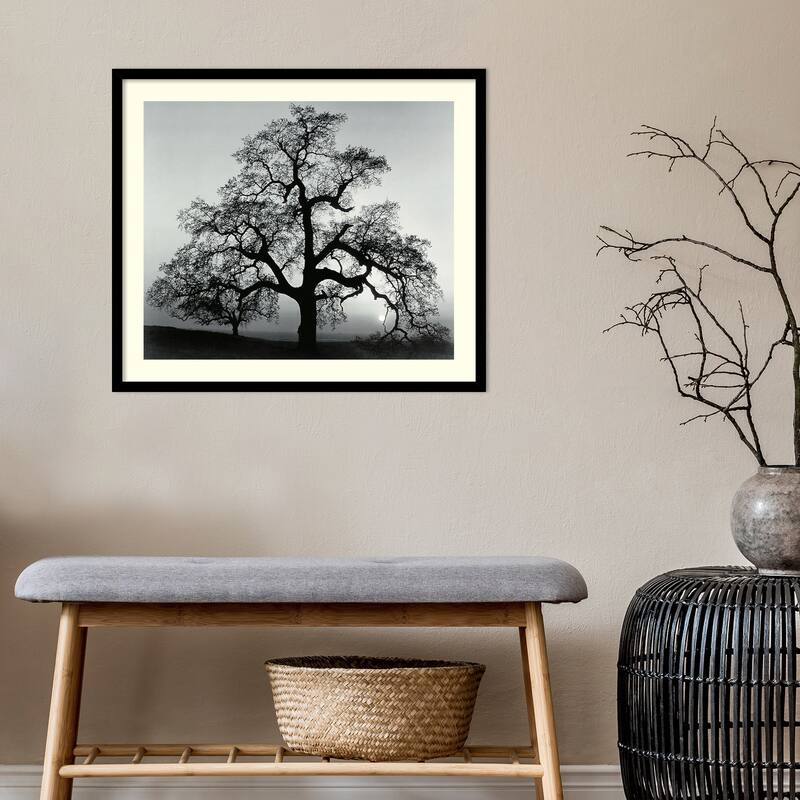Framed Art Print 'Oak Tree, Sunset City, California, 1962' by Ansel Adams 27 x 23-inch
