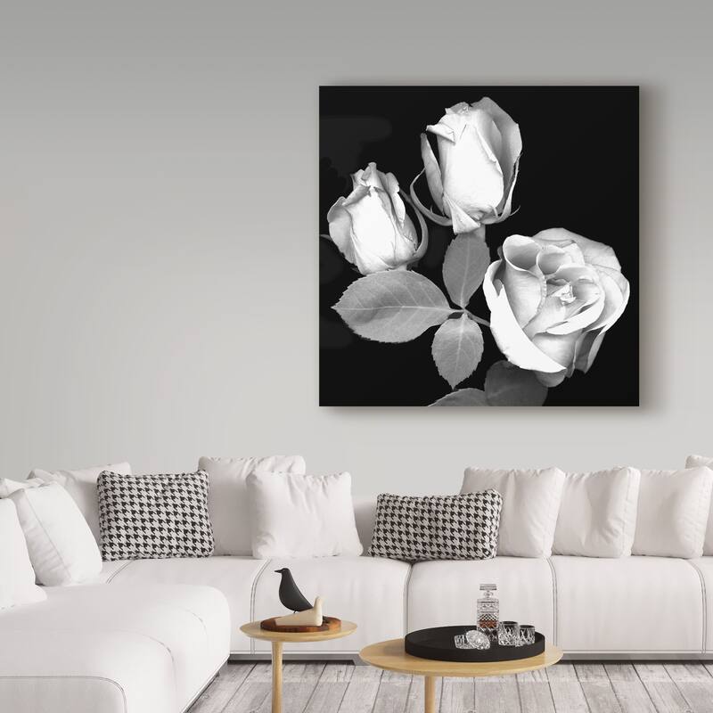 Susan S. Barmon 'Three Roses Black And White' Canvas Art