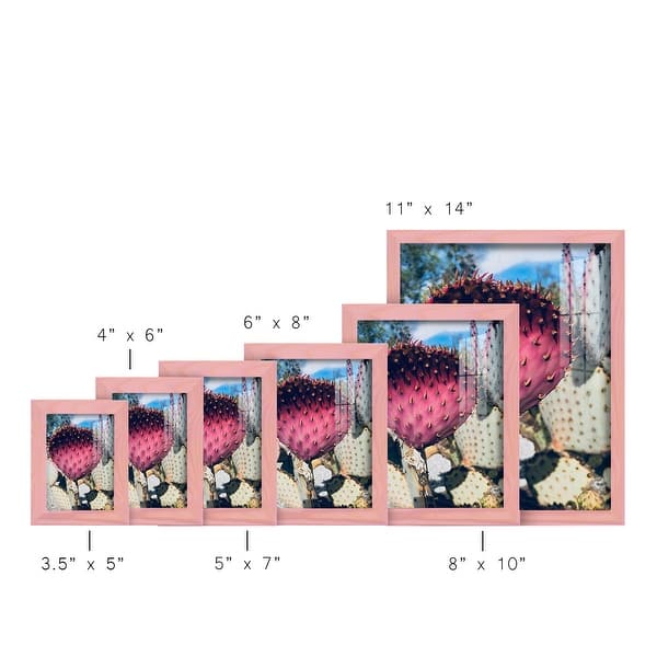 dimension image slide 0 of 5, Pink Yellow Cactus III -Framed Print w/glass-Cherry Red