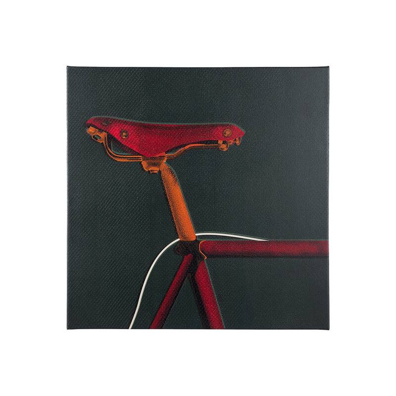 Bike Saddle I (30 x 30) Canvas Art Print - Small