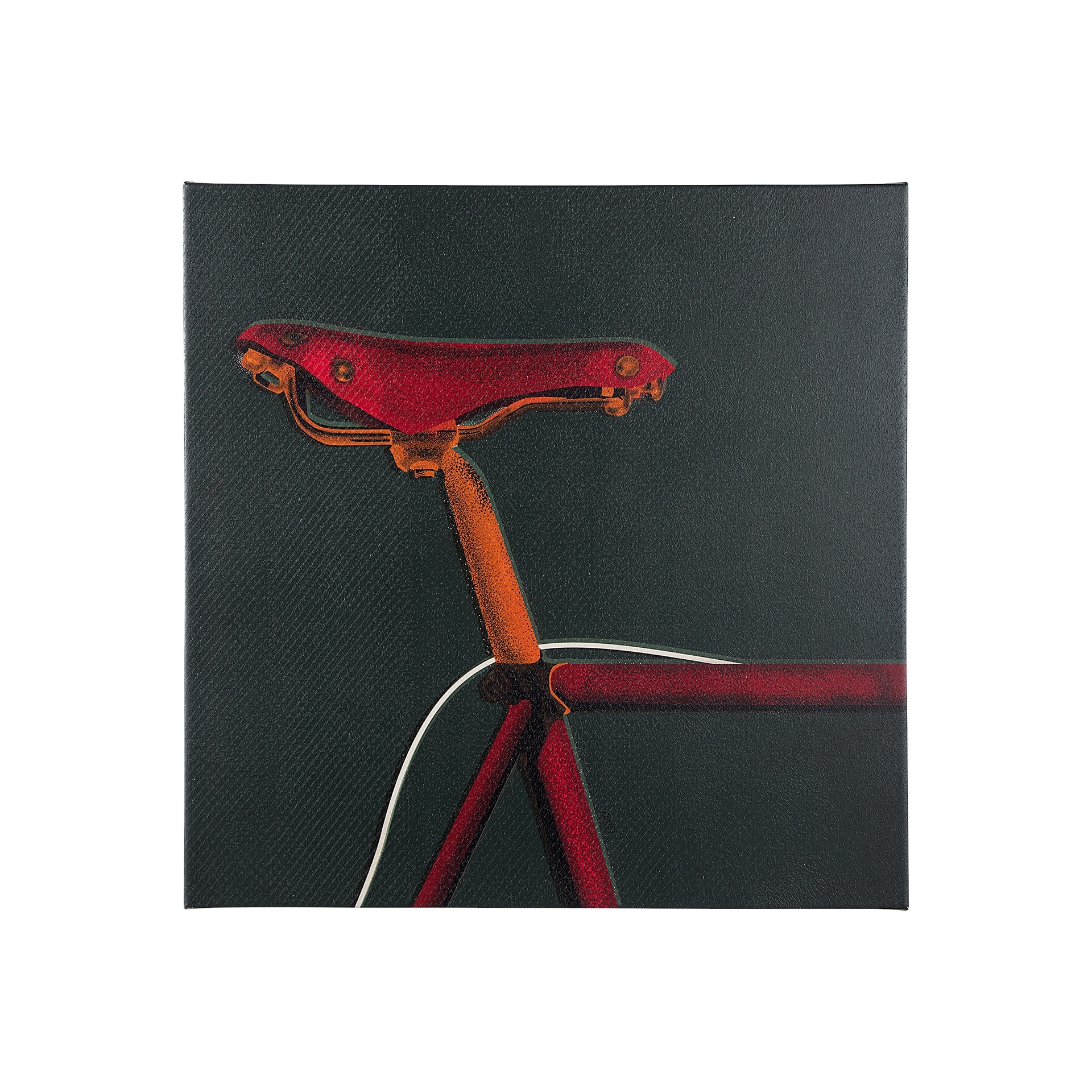 Mercana Bike Saddle I (30 x 30) Canvas Art Print