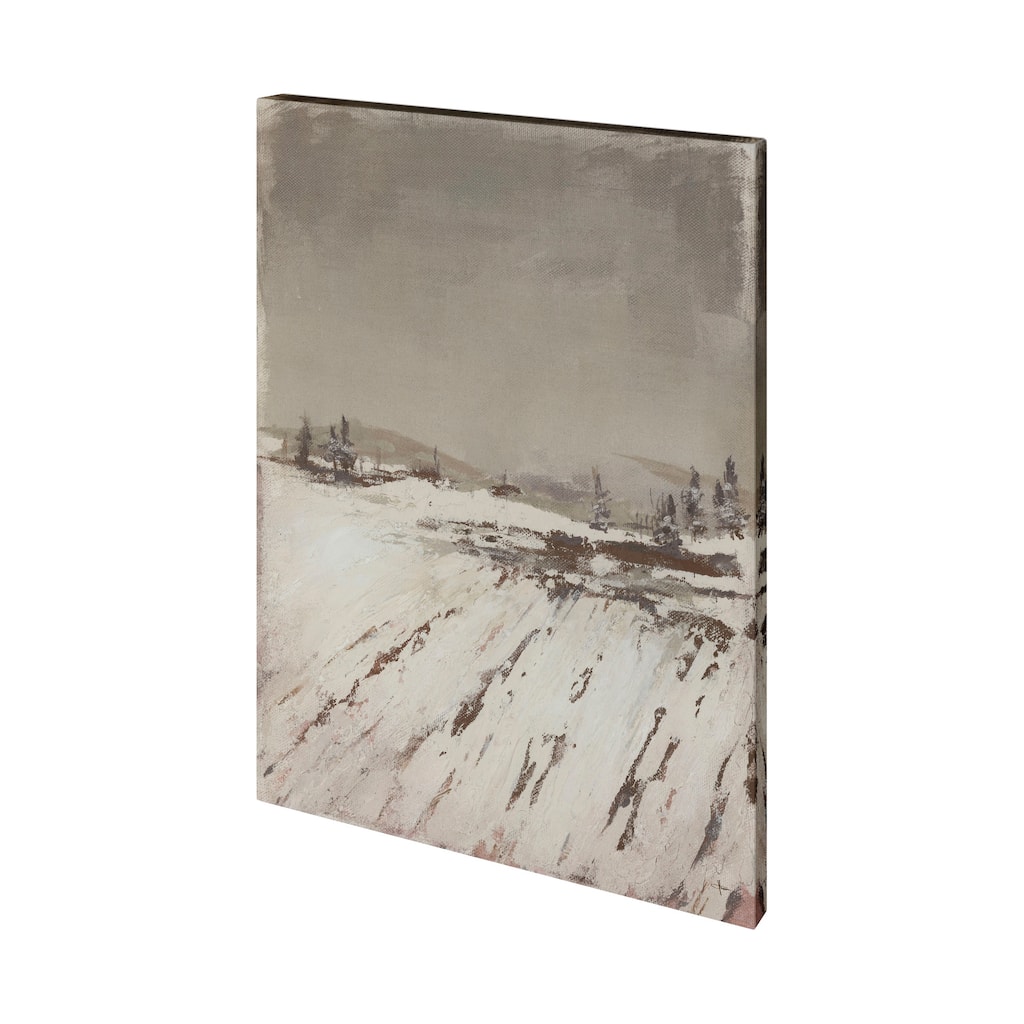 Silent Snow I (28 x 35) Canvas Art Print