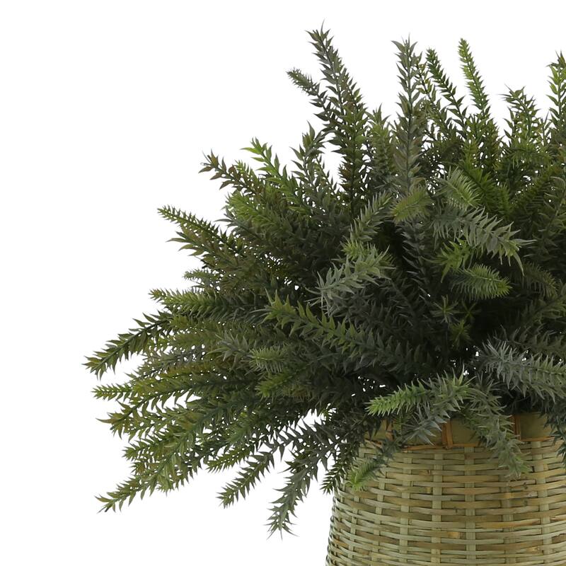 Frosted Fern Arrangement in a Bamboo Planter