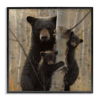 Stupell Black Bear and Cubs Soft Birch Tree Forest Framed Wall Art