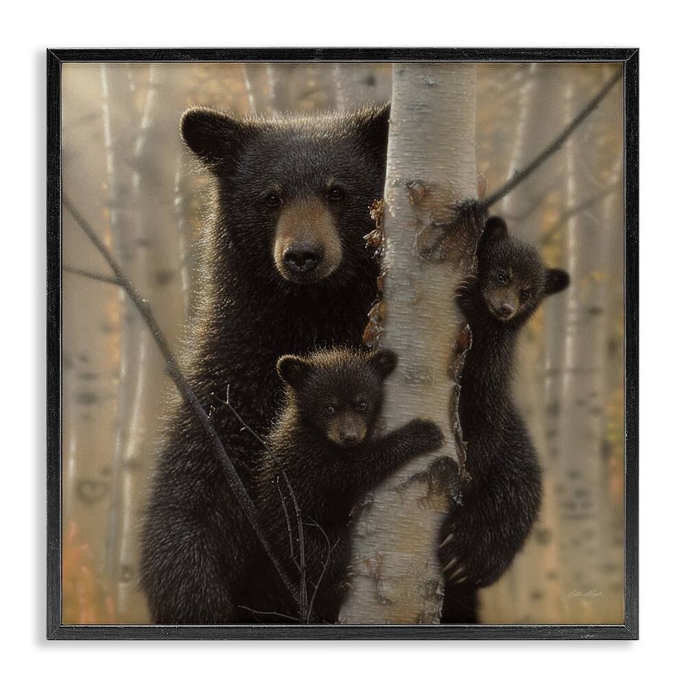 Stupell Black Bear and Cubs Soft Birch Tree Forest Framed Wall Art