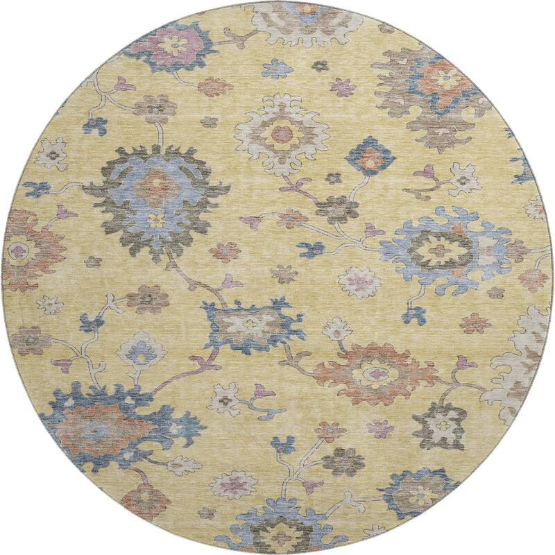 Premium Washable Super Soft Traditiional Spaces Mayfield Rug