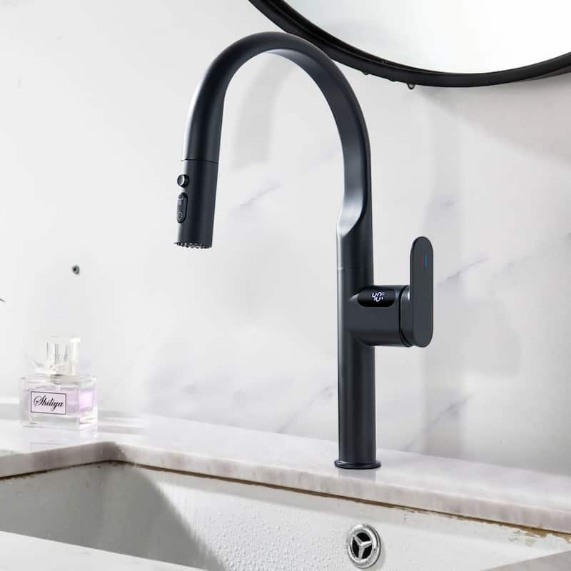 18''H 3-mode Temperature Display Kitchen Faucet with Pull Sown Sprayer in Black/Gold - Matte Black