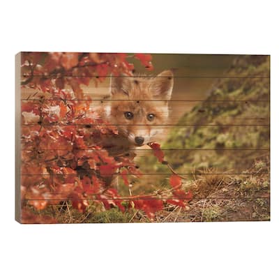 Fox Print On Wood by Robert Adamec - Multi-Color