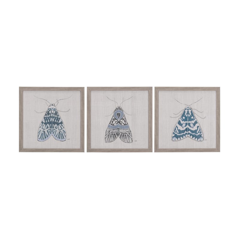 Moth Blue I Framed Art Print