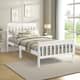 Option White