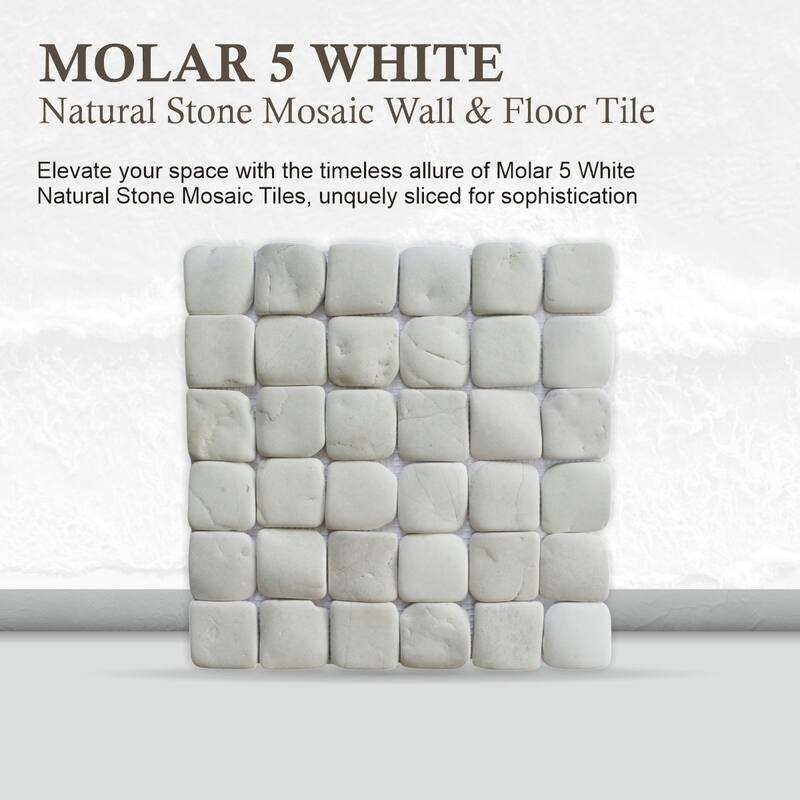 Molar 5 White Pebble Mosaic Tiles for Backsplash Kitchen and Bathroom Wall (12" X 12") 5 tiles per case - Case (5 Tiles)