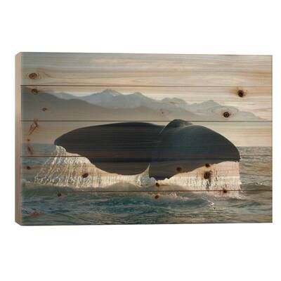 Sperm Whale Tail, New Zealand Print On Wood by Flip Nicklin - Multi-Color