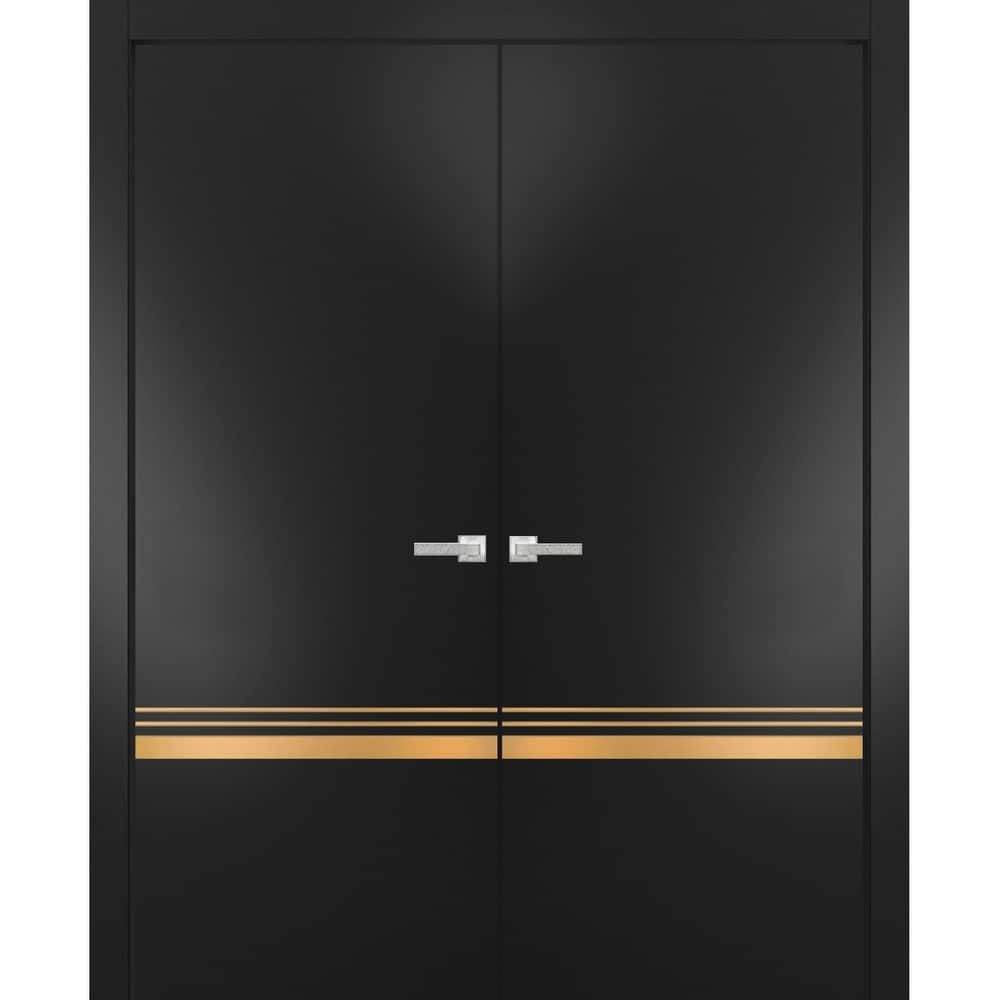 Solid French Double Doors 36 x 80 Planum 2010 Matte Black with